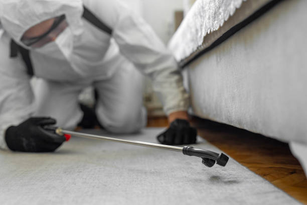 Professional Pest Control technician working in Mila Doce, TX