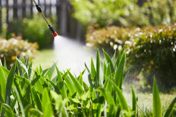 24/7 Emergency Termite Control experts in Mila Doce, TX