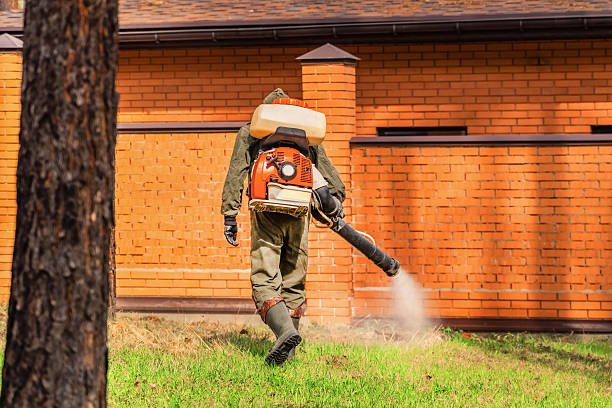 Trusted Cockroach Control service in Mila Doce, TX - Nex Pest Control